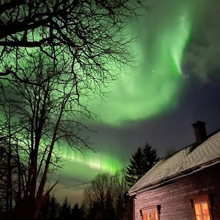 100 Years Old Norwegian Log House In Tromso Villa Exterior photo